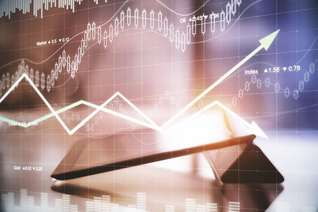 Market Outlook 2024-2025