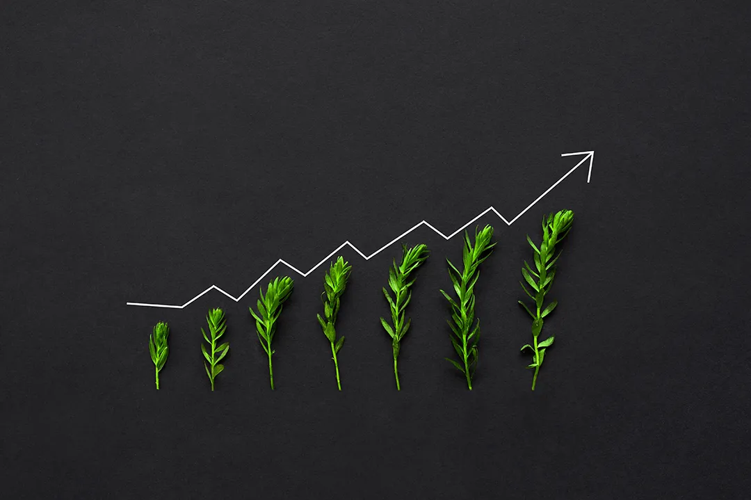 Investment Performance and ROI Potential