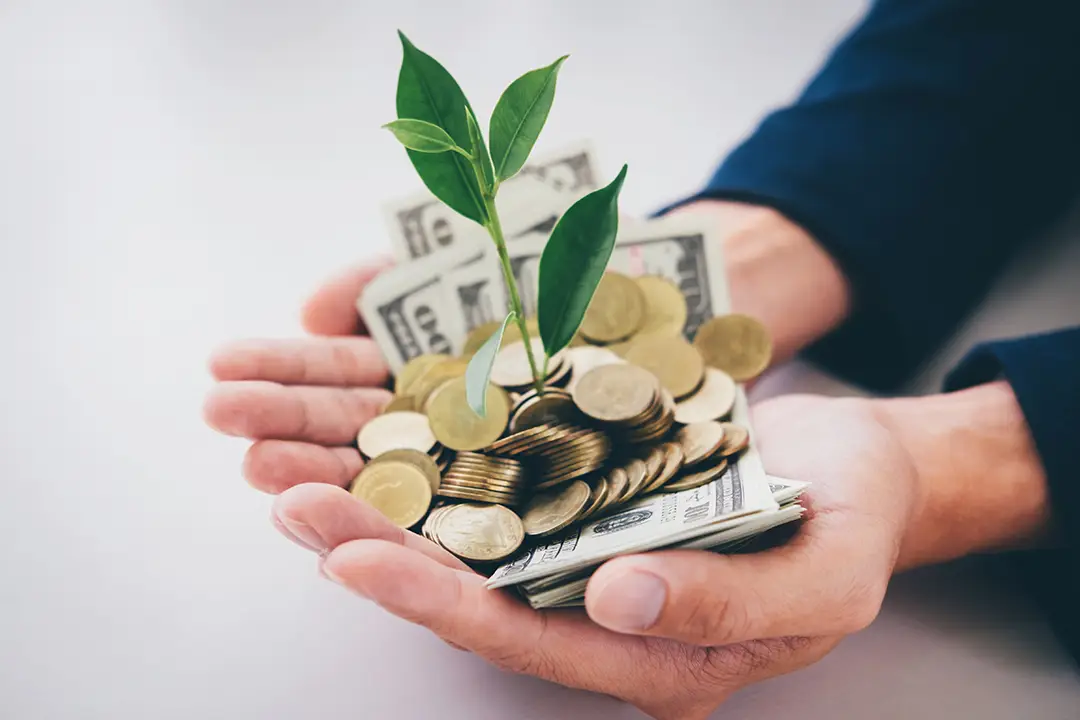 ROI Potential Still Matters